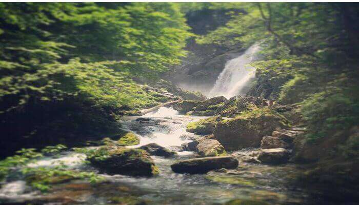 Vaidehi Waterfalls