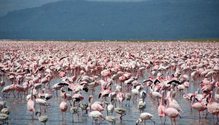 best places to visit in kenya