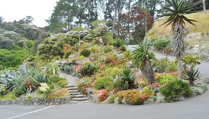 Wellington Botanical Garden