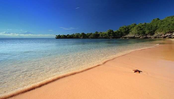 pink beach in indonesia