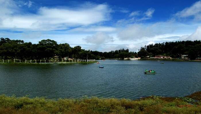 Yercaud is one of the few hill stations near Pondicherry
