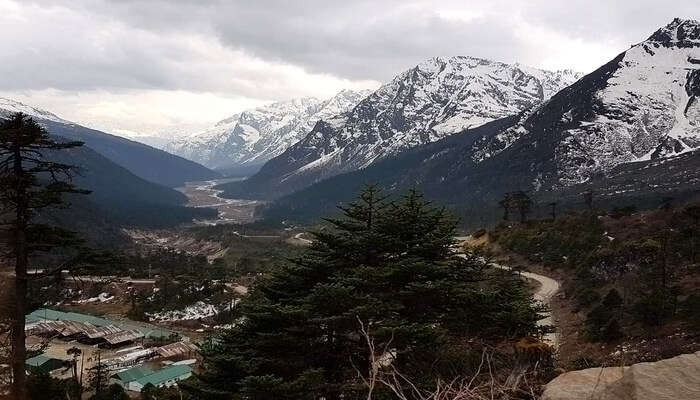 Yumthang Valley