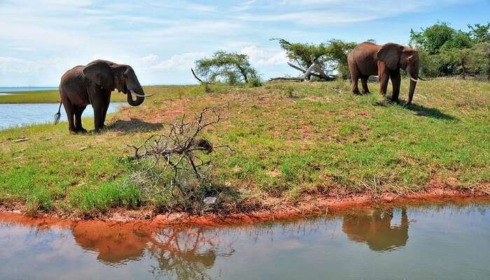 Zambia And Zimbabwe