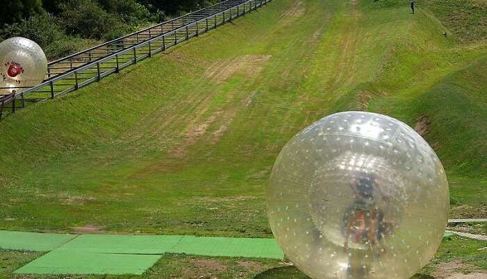 enjoy the zorbing ball