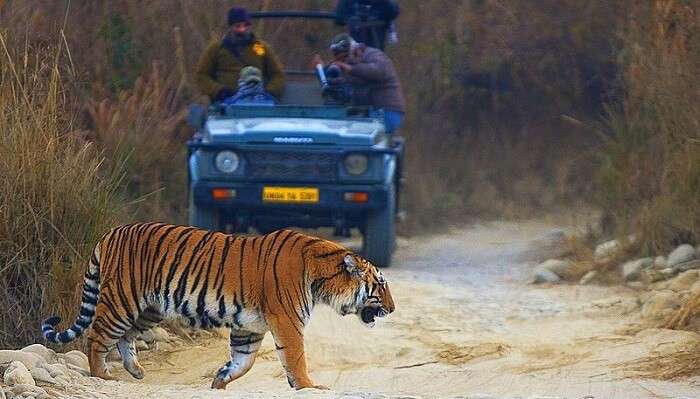 corbett national park zones