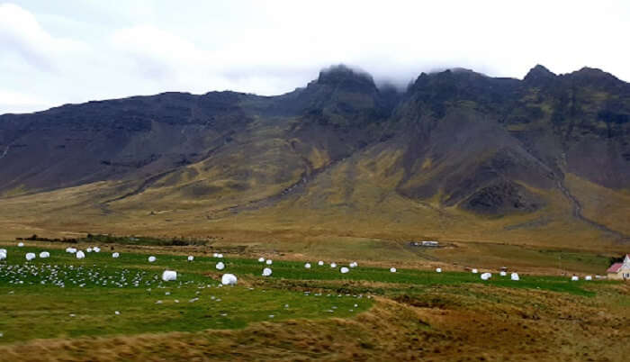 countryside_Iceland