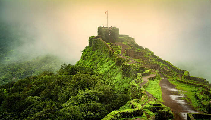 Picnic Spots Near Mahabaleshwar