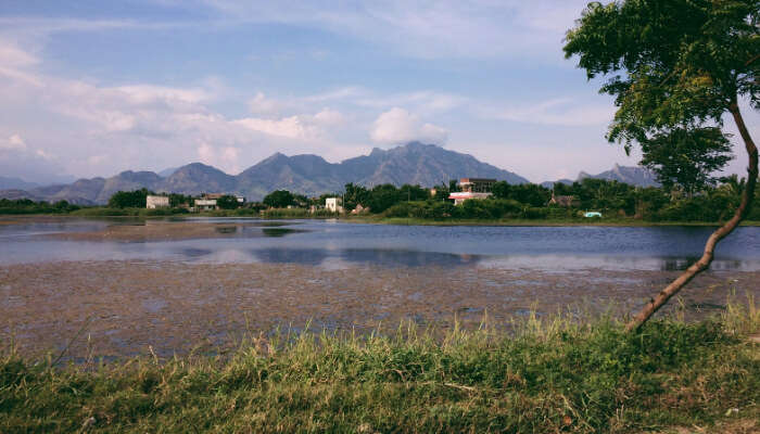 A serene lake