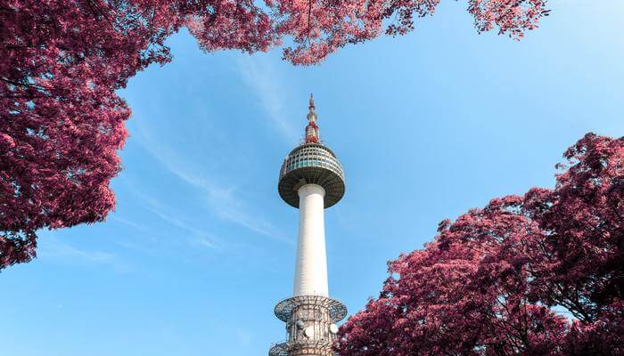 Enjoy The Skyline From Seoul Tower