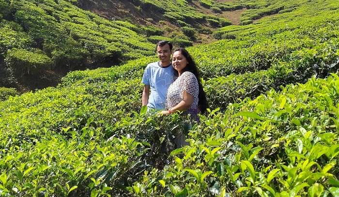 in the mid of tea plantations