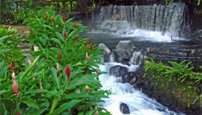 relax in hot spring 