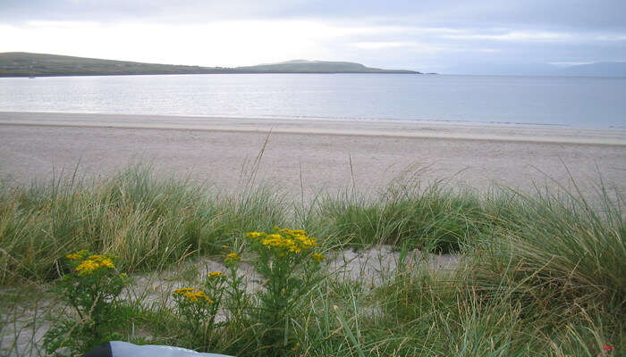 Inchydoney Beach