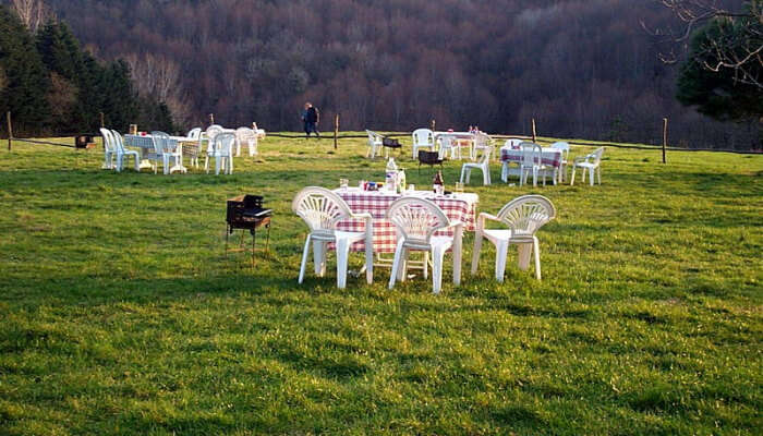 Tables and Chairs in a Green Space