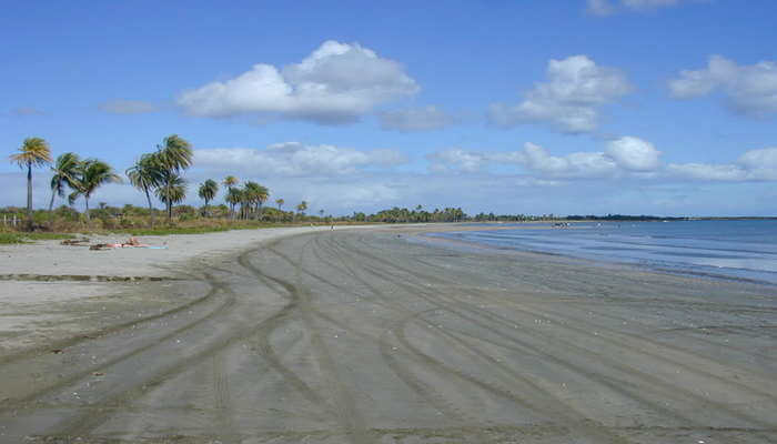 Seagrass Bay