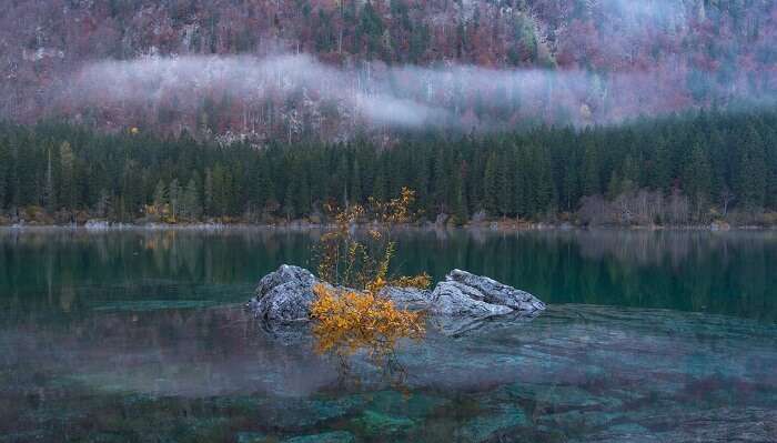 Haunted Pond