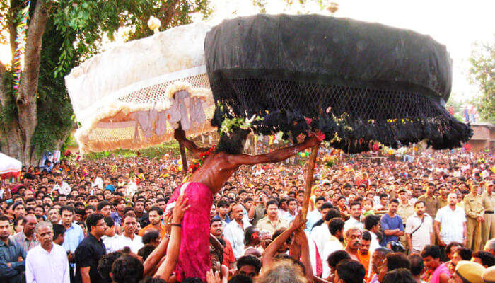 Sonepur Mela 2022: Know It All From History, Events, And Stays To Tips!