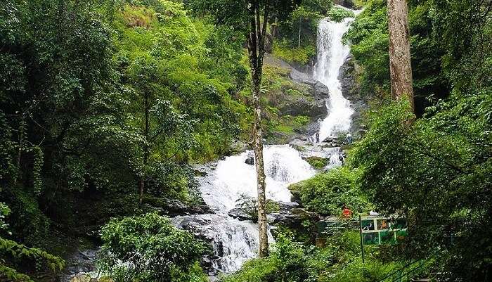 Iruppu Falls, Karnataka