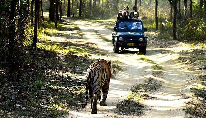 Kanha National Park