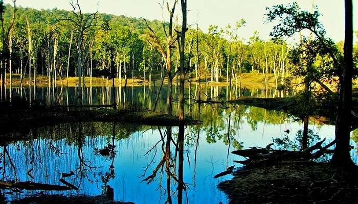 Pench National Park