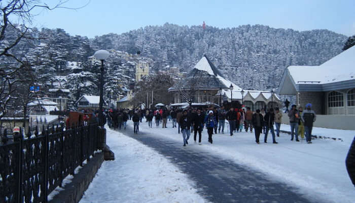 A dazzling view of snowfall in Shimla