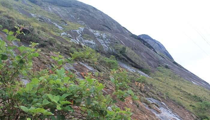 Anamudi Peak