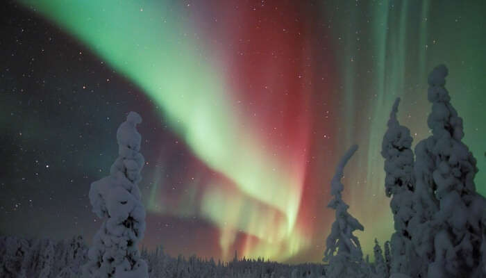 colorful dancing streaks