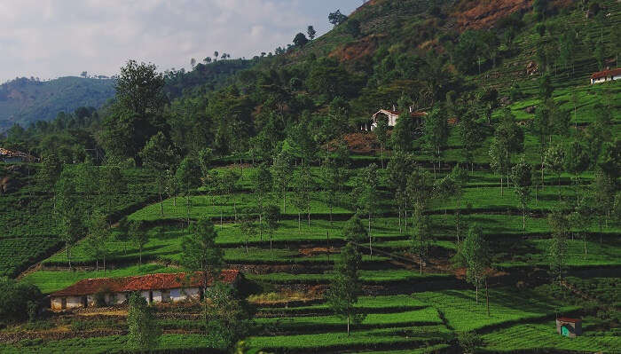 One of the stunning tourist places near Coimbatore