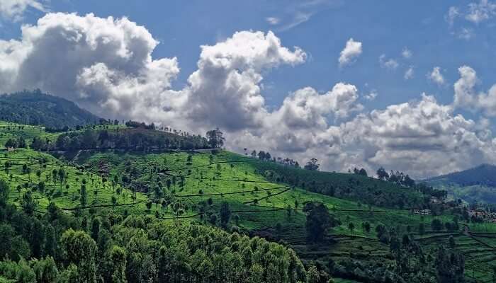 Kotagiri,Nilgiris