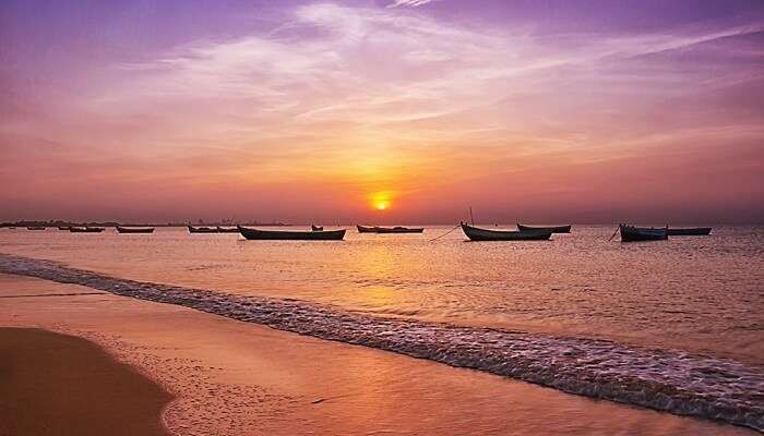 Tuticorin Roach Beach