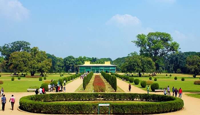 a manicured garden