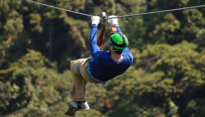 Flying Fox