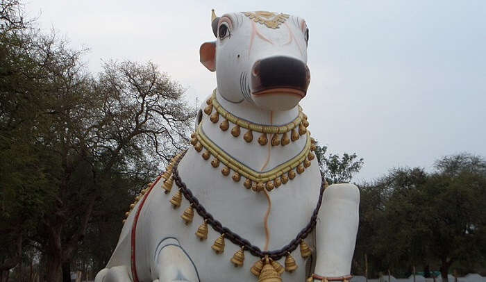 dedicated to Lord Nandi