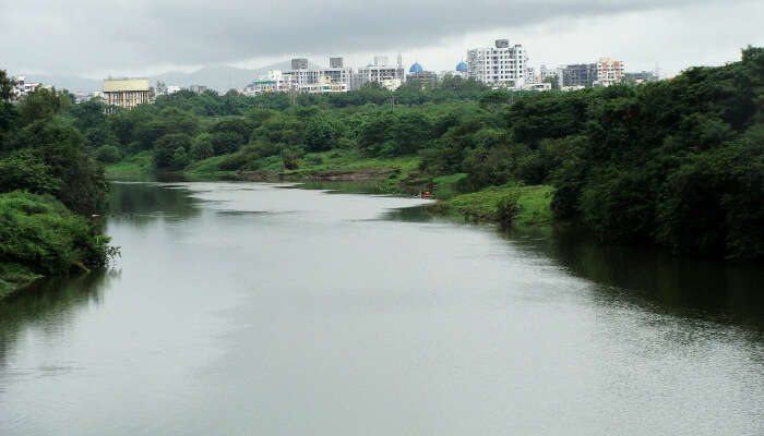 The Serene Mutha River