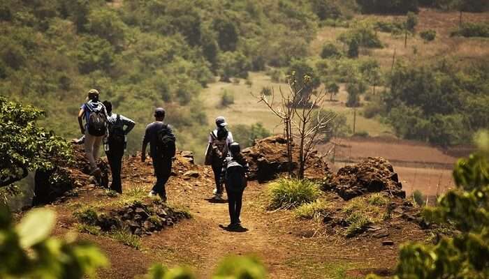 Trekking is one of the best  things to do in Shimla