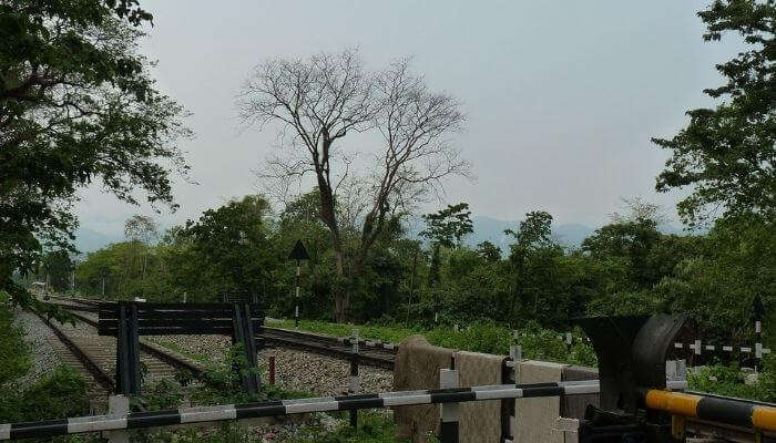 The surreal landscape of Rajabhatkhawa, among the famous places to visit in West Bengal.