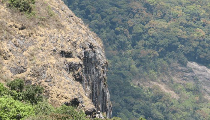 Witness great views at Silent Valley View Point, one of the things to do in Kodaikanal