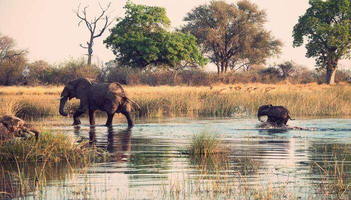 Chikhaldara Wildlife Sanctuary