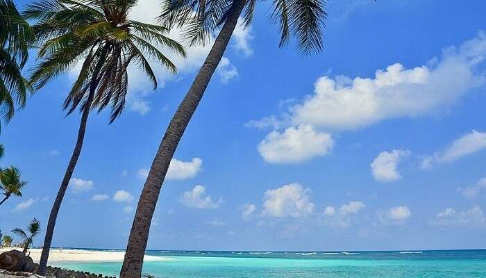 An awe-inspiring view of Spectacular Tropical Islands in Lakshadweep