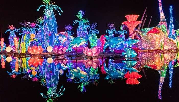 dubai-garden-glow