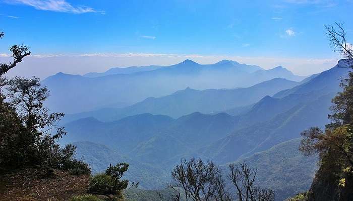 Perfect for those who wish to get lost in the verdant meadows and smell the fresh air of South India