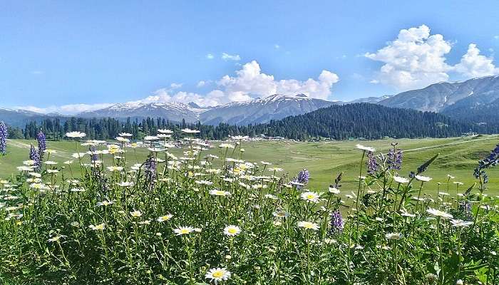 Gulmarg is heaven for those who want to go skiing in February