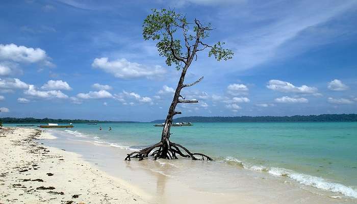 the Andaman and Nicobar islands are a tropical paradise that are an ideal destination