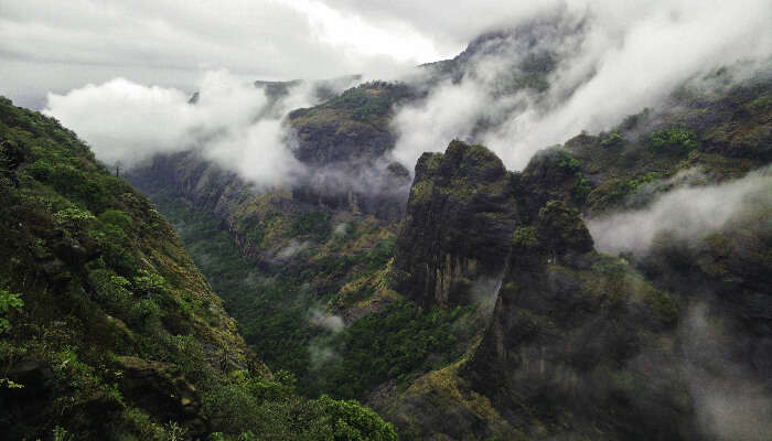 A wonderful view of Tamhini Ghat