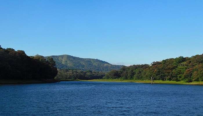 Thekkady is a never-ending chain of lagoons that are interconnected by lakes, rivers, and canals