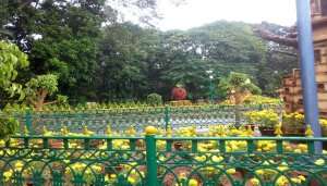 Cubbon Park