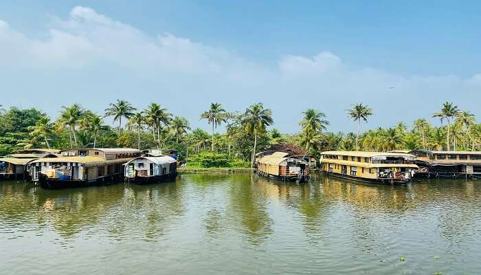 The lively backwater houseboats of Kerala