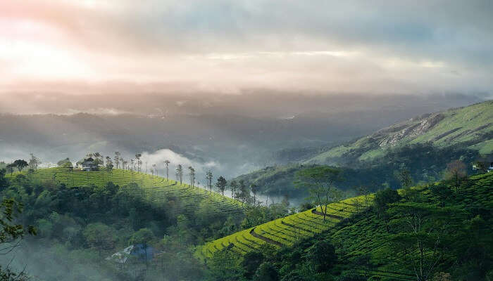 The misty mountains of Munnar near one of the best airports in Kerala
