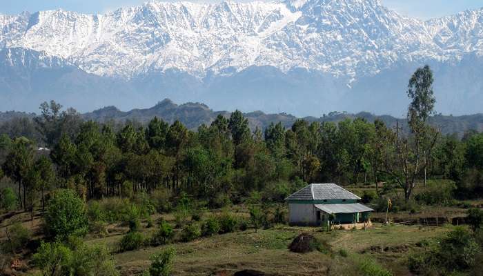 Dhauladhar, wildlife sanctuaries in himachal pradesh