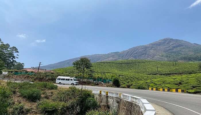 Scenic beauty of Gap road, Munnar