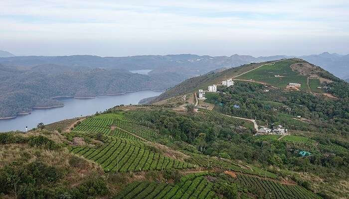 Tea Idukki Reservoir Calvary Mount, Kerala